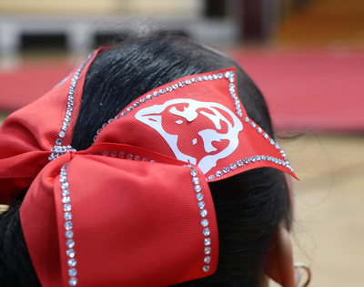 Elementary Cheerleading Competition
