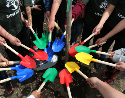 Bardwell Blooms on Arbor Day