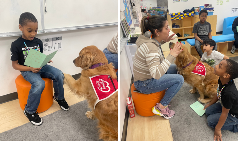 Vuolo, the D131 Pet Therapy Dog, is friendly and always lends a helping paw to students and staff.