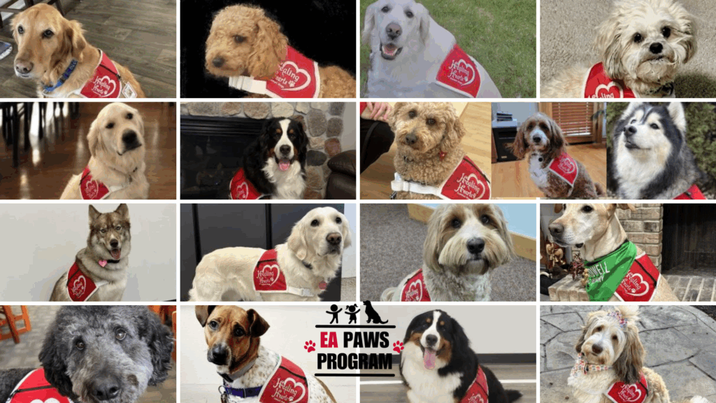 EA Paws Collage