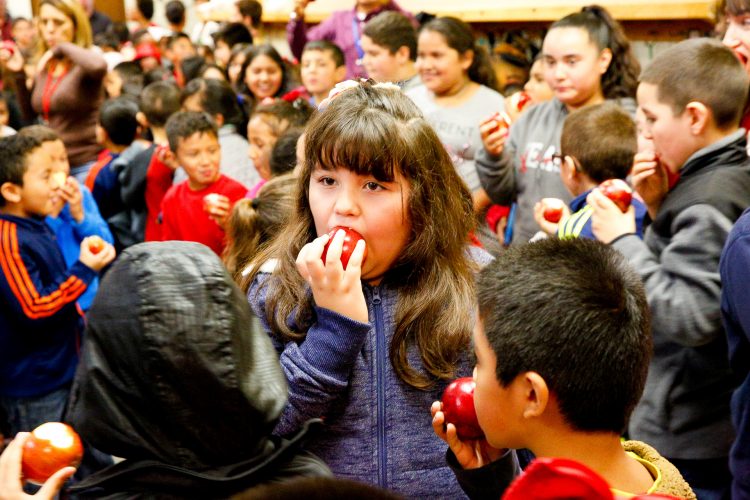 The Great Apple Crunch was delicious.