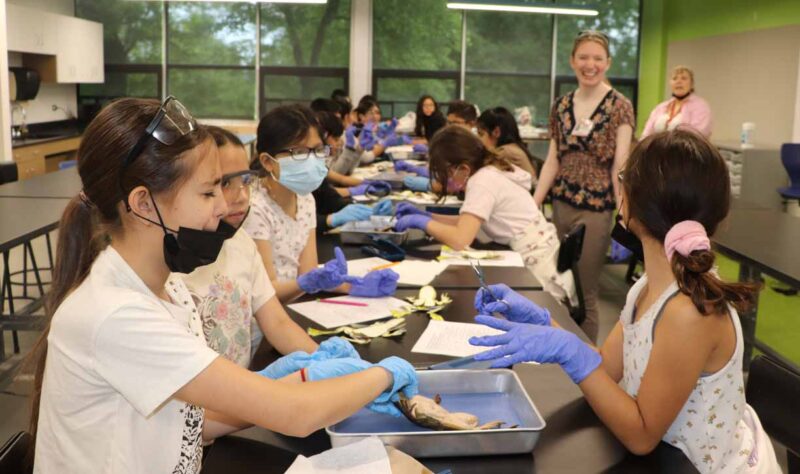 The 5th grade students dissected worms and frogs.