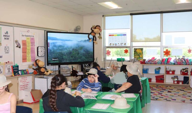 Ms. Arendt wrapped up the year with a safari themed day of learning.