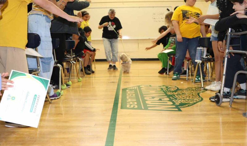 The end of the year awards assembly was full of energy!