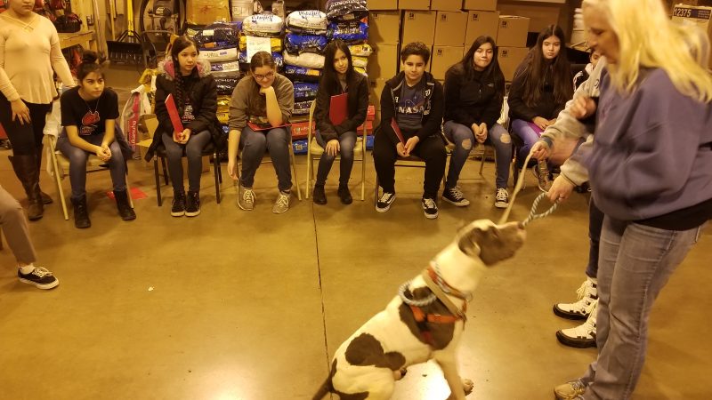 District 131 - Waldo National Junior Honor Society & PeaceJam Visits Aurora  Animal Control